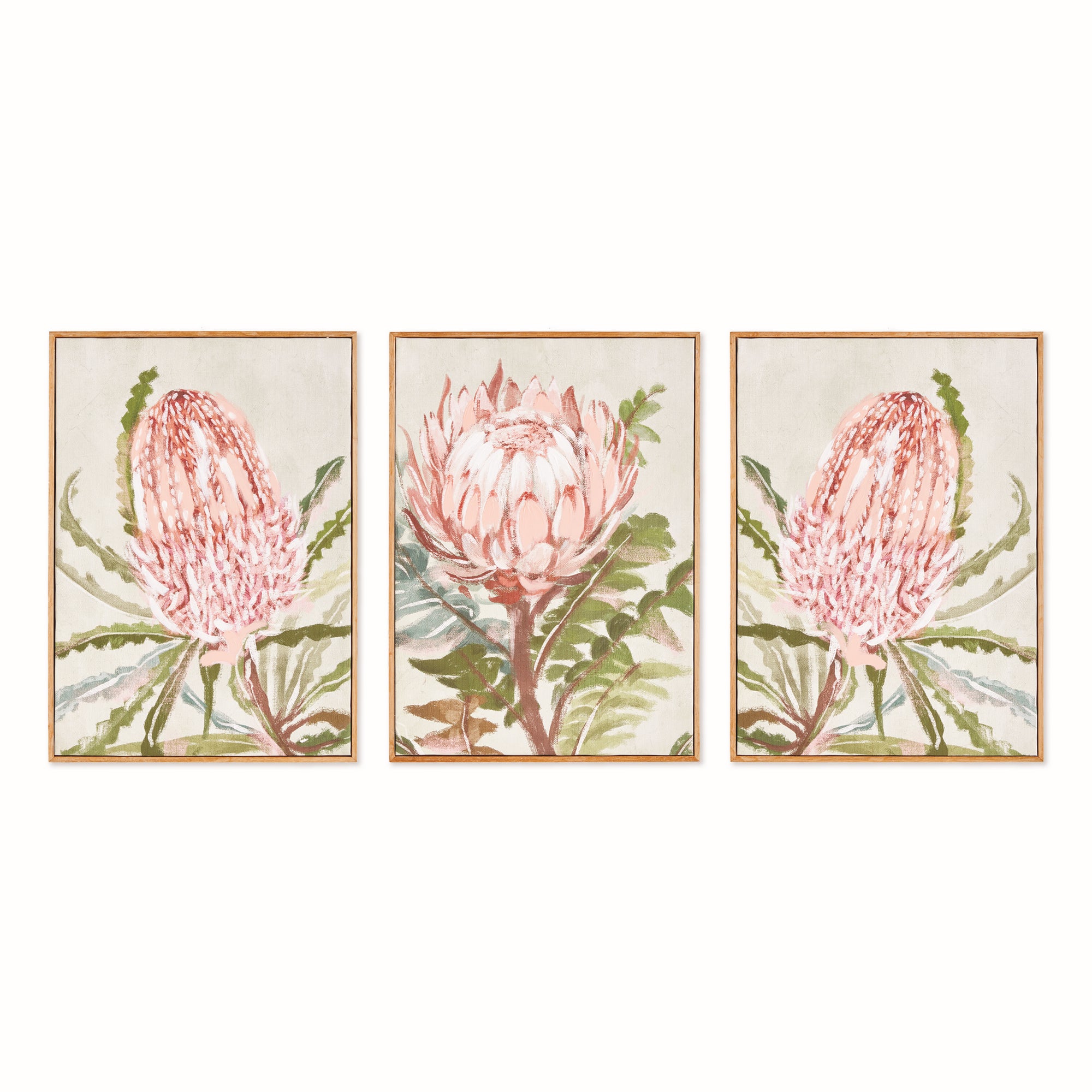 QUEEN PROTEA GICLEES, SET OF 3 – Napa Home & Garden