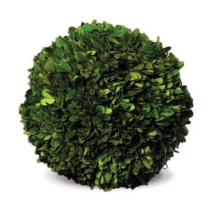 BOXWOOD BALL 10"