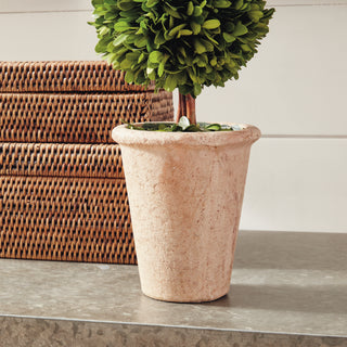 BOXWOOD DOUBLE SPHERE TOPIARY 20"