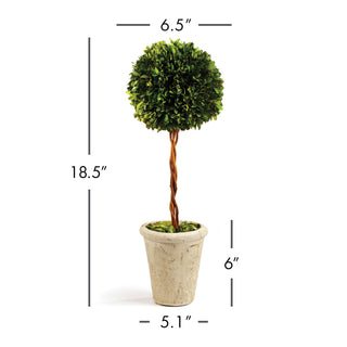BOXWOOD SINGLE SPHERE TOPIARY 18.5"