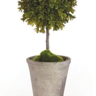 BARCLAY BUTERA FAUX BOXWOOD TOPIARY POTTED 25"