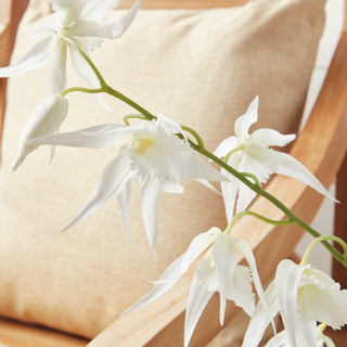 SPIDER ORCHID DROP-IN 44"