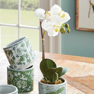 PHALAENOPSIS ORCHID DROP-IN 15"