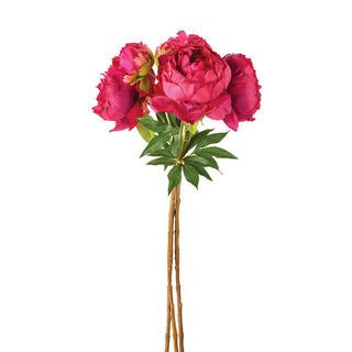 PEONIES 21", BUNDLE OF 3