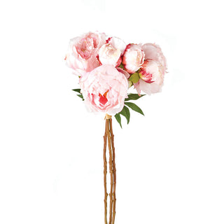 PEONIES 21", BUNDLE OF 3
