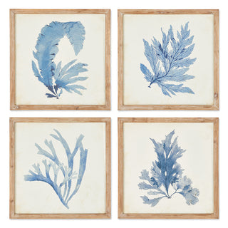 FRAMED CORAL WATERCOLOR PRINTS, SET OF 4
