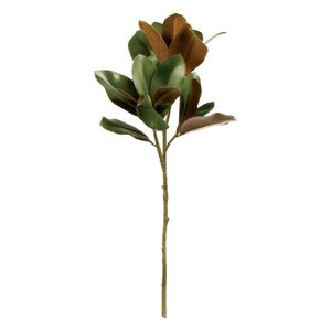 GRAND MAGNOLIA LEAF STEM 32"