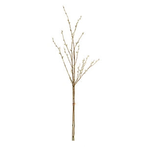 PUSSYWILLOW STEMS 52", BUNDLE OF 2