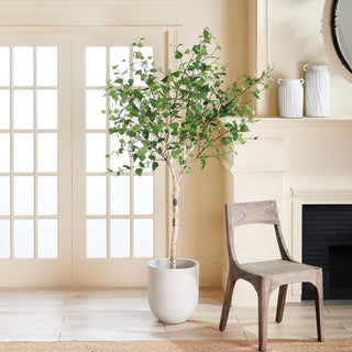 BIRCH TREE DROP-IN 6'4"