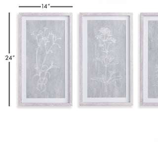 SKETCHED BOTANICAL PRINTS, SET OF 3