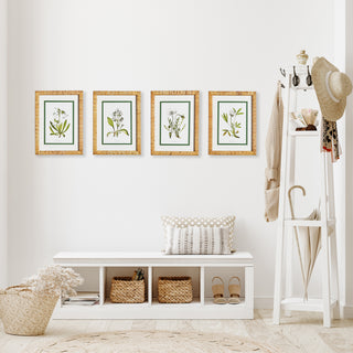 WHITE FLORAL STUDY, SET OF 4