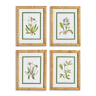 WHITE FLORAL STUDY, SET OF 4