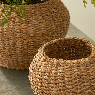 SEAGRASS PLANT BASKETS, SET OF 2