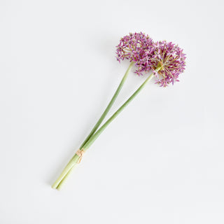 ALLIUM STEMS 19", BUNDLE OF 3