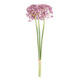 ALLIUM STEMS 19", BUNDLE OF 3