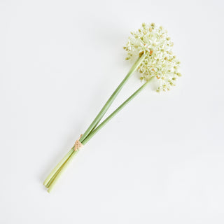 ALLIUM STEMS 19", BUNDLE OF 3