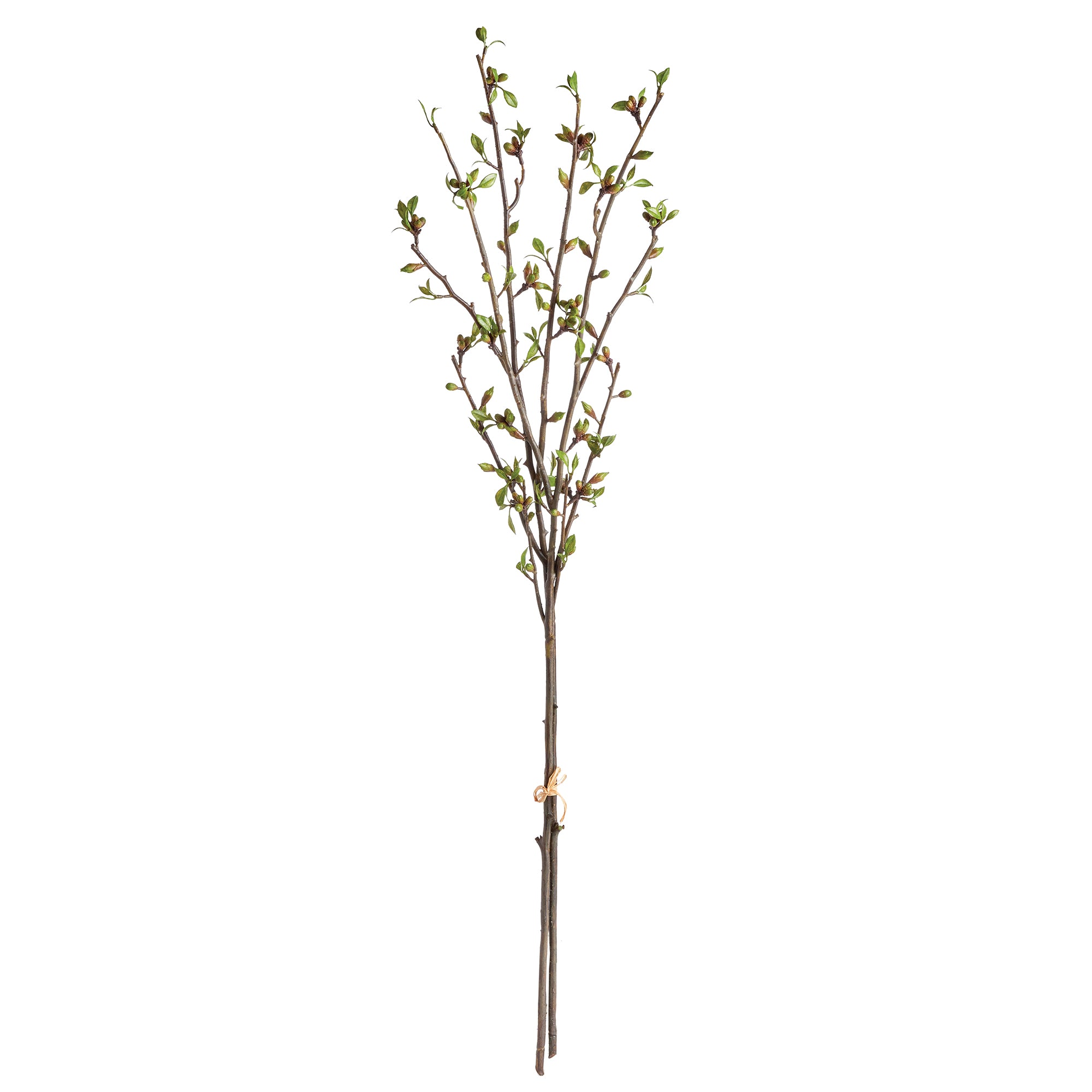 BUDDING BRANCHES 42", BUNDLE OF 2 – Napa Home & Garden
