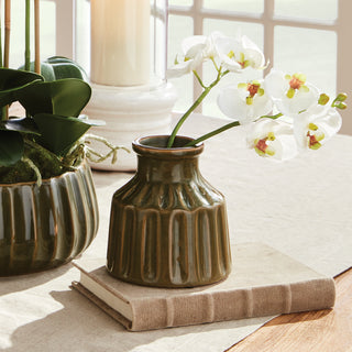 PHALAENOPSIS ORCHID STEMS 11.5" BUNDLE, SET OF 6