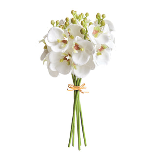 PHALAENOPSIS ORCHID STEMS 11.5" BUNDLE, SET OF 6
