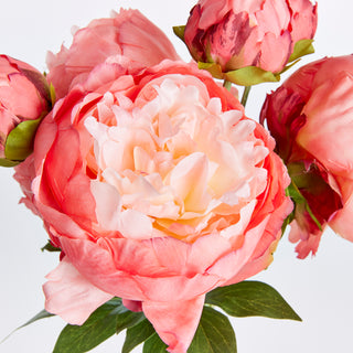 PEONIES 21", BUNDLE OF 3