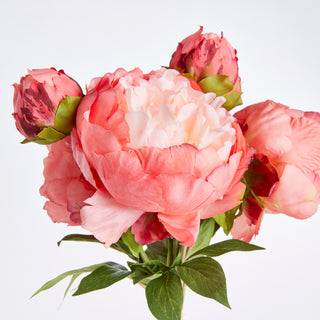 PEONIES 21", BUNDLE OF 3