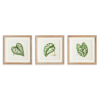 LEAF CUTTINGS PETITE PRINTS, SET OF 3