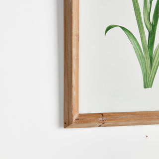 GARDEN BLOOM PRINTS, SET OF 4