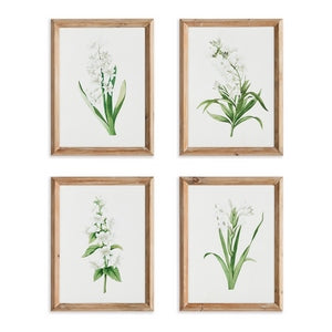 GARDEN BLOOM PRINTS, SET OF 4
