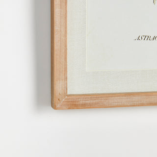 MID-SUMMER BLOOMS PRINTS, SET OF 6