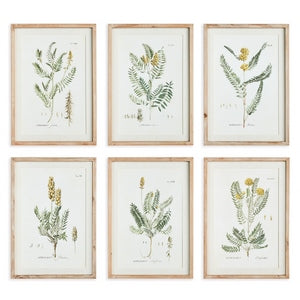 MID-SUMMER BLOOMS PRINTS, SET OF 6