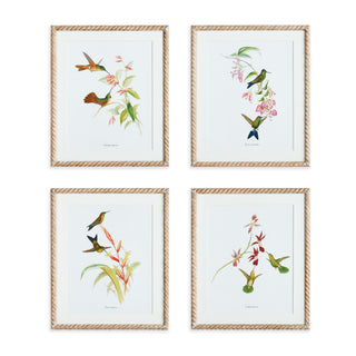 PLAYFUL HUMMINGBIRD PRINTS, SET OF 4