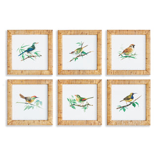 SONGBIRD PETITE PRINTS, SET OF 6