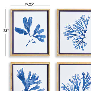 INDIGO SEAWEED PRINTS, SET OF 4