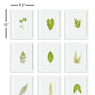 GREEN LEAF PETITE PRINTS, SET OF 9