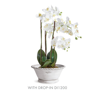 WAKEFIELD HANDMADE ALVENA FORCING POT #6