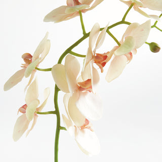 PHALAENOPSIS ORCHID STEM 28"