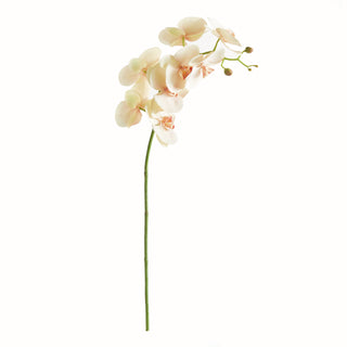 PHALAENOPSIS ORCHID STEM 28"