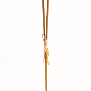 HARE'S FOOT BRANCHES 34", BUNDLE OF 2