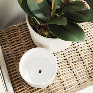 CORTINA POTS, SET OF 2