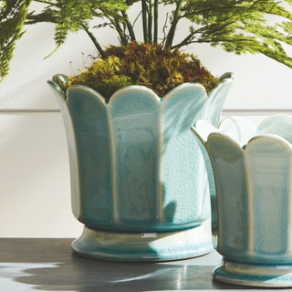 PLUMOSA FERN DROP-IN 21"