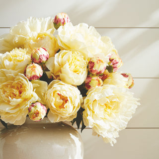 PEONIES 21", BUNDLE OF 3