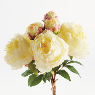 PEONIES 21", BUNDLE OF 3
