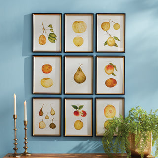ASSORTED FRUITS STUDY, SET OF 9