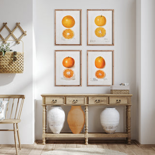 CITRUS STUDY, SET OF 4
