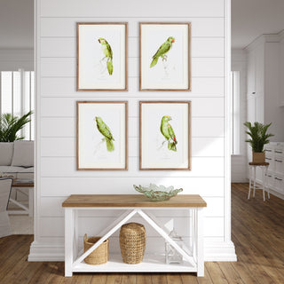 PARROT ILLUSTRATIONS IN GREEN, SET OF 4
