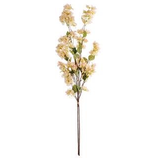 BOUGAINVILLEA  STEMS 54", BUNDLE OF 2