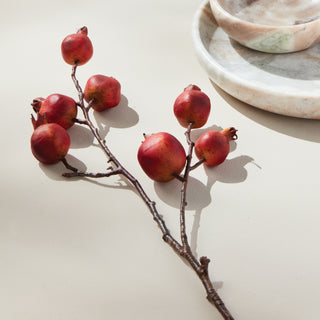POMEGRANATE BRANCH 21.5"