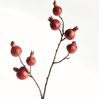 POMEGRANATE BRANCH 21.5"