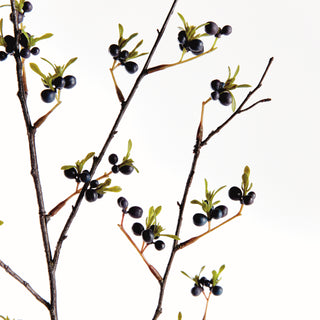 DARK BERRY BRANCH 41.5"