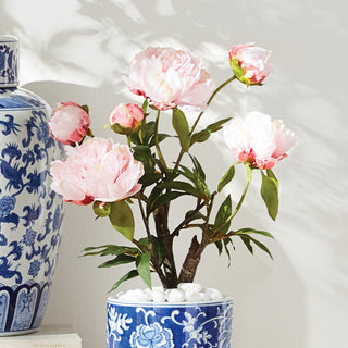 PEONY POTTED DROP-IN 18"